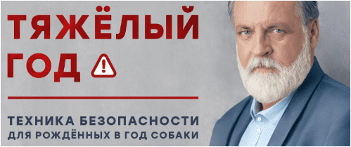 Тяжелый год. Техника безопасности для рожденных в год Собаки — Литвин (2024)